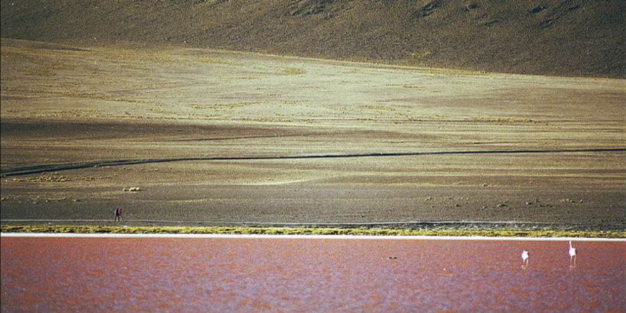 Rory, Bolivia