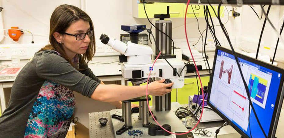 Silvia Vignolini in lab