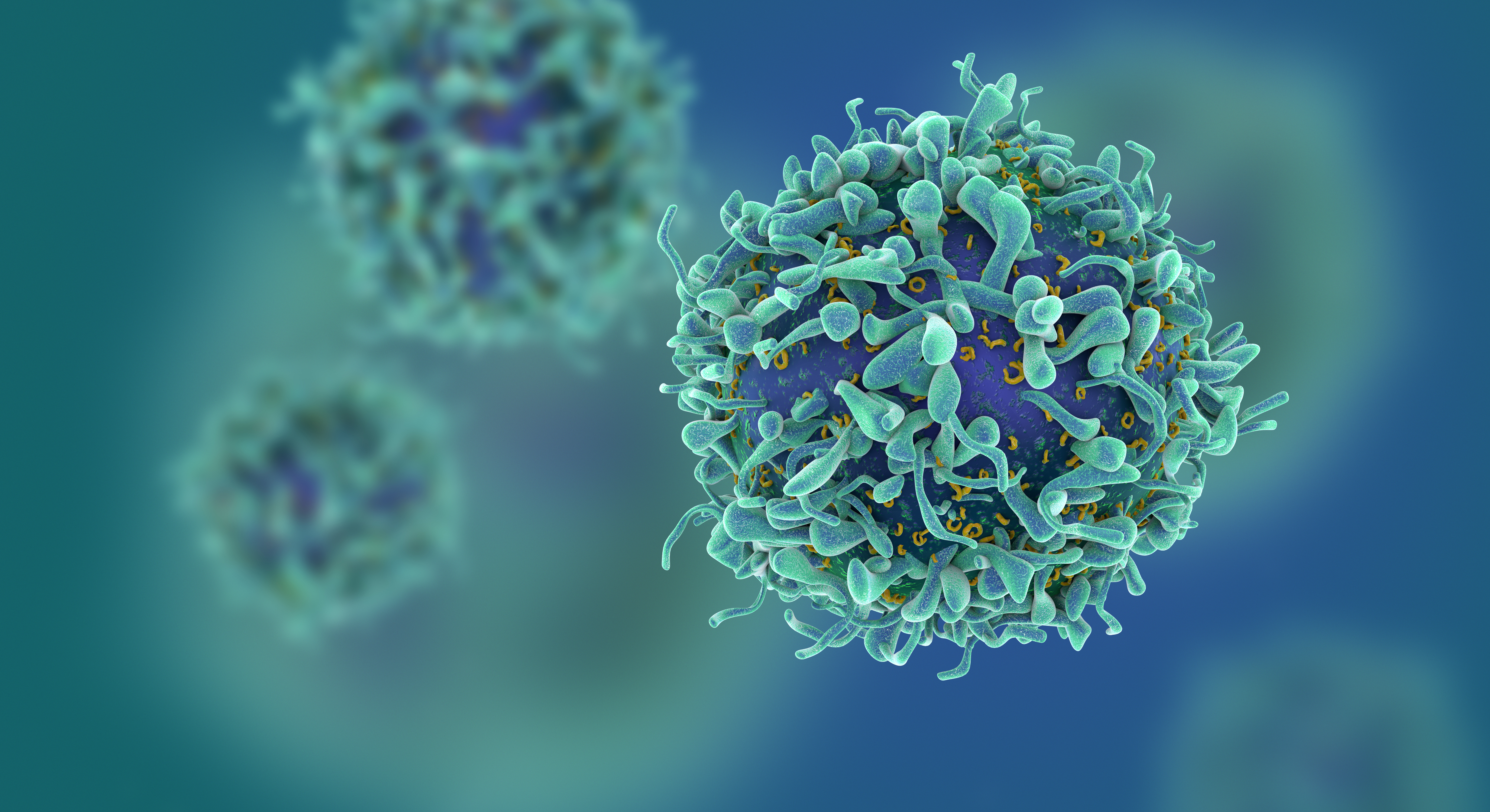 Cancer cell