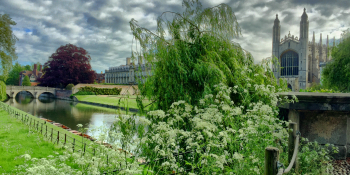 University building on an overcast summer day
