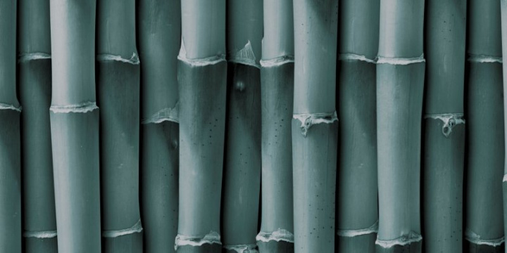 A tight bamboo fence