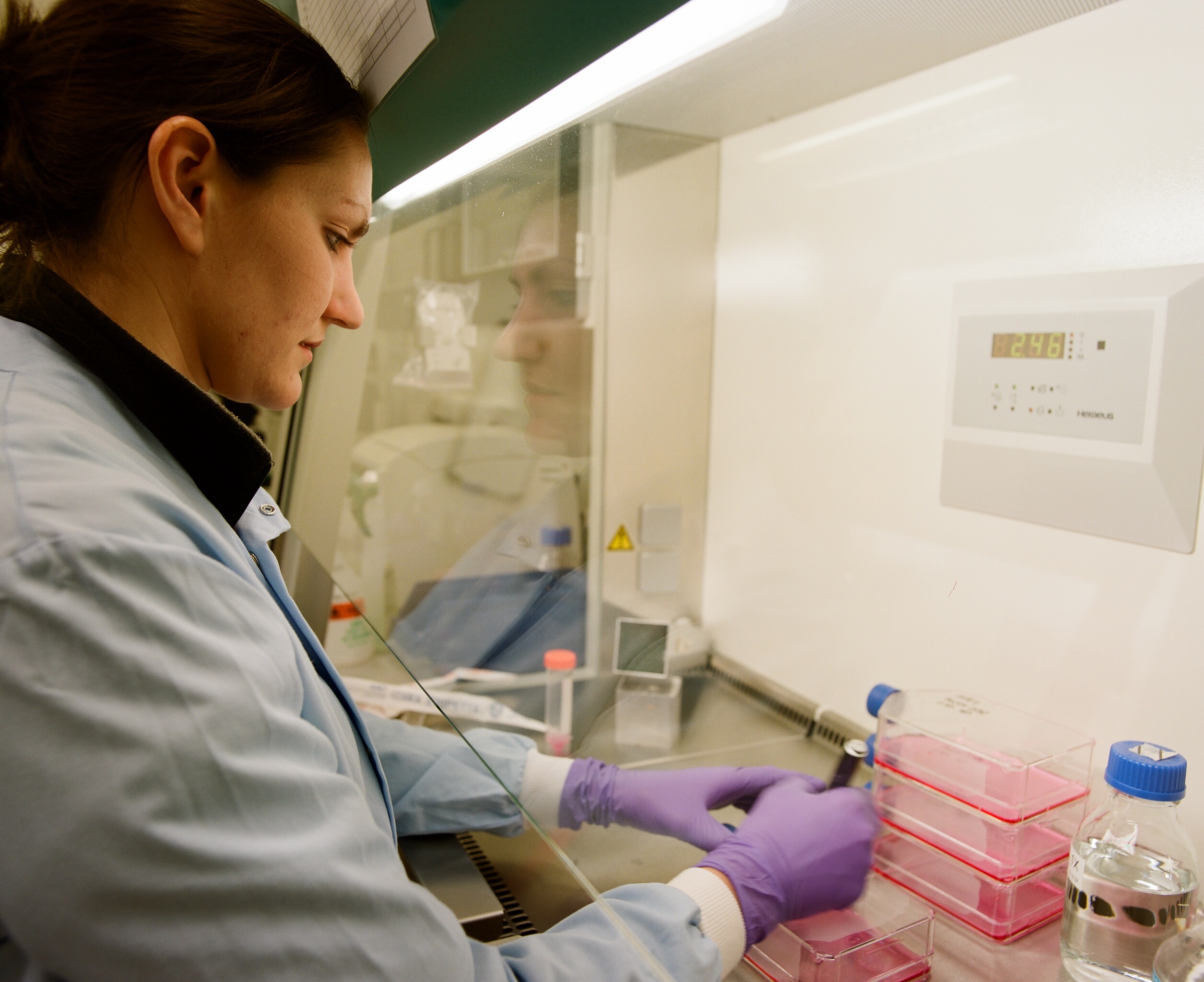 Clinical research jobs in cambridge