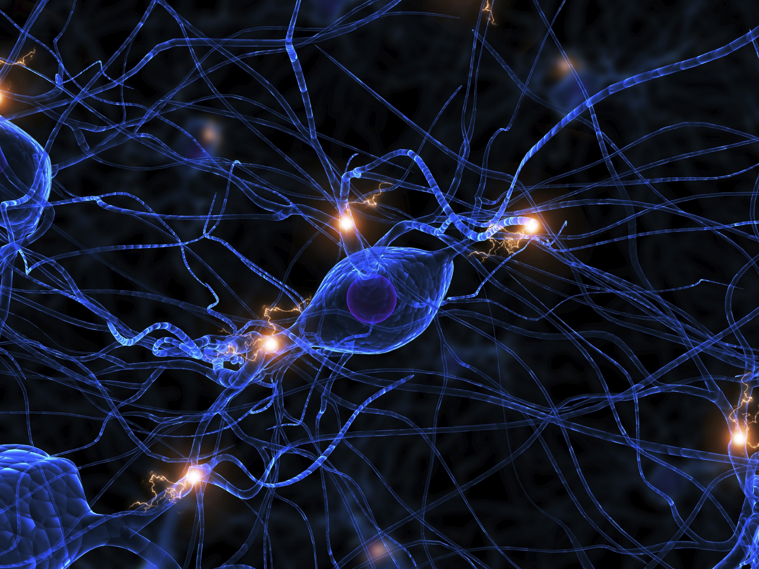 Brain neurons