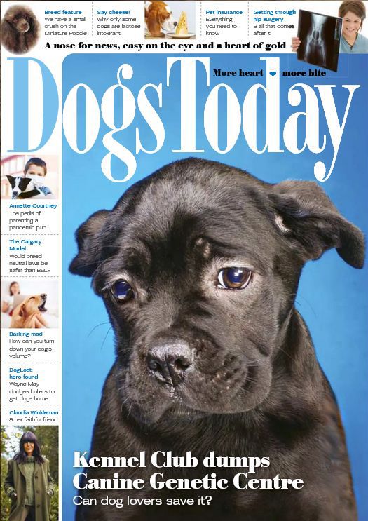 decorative