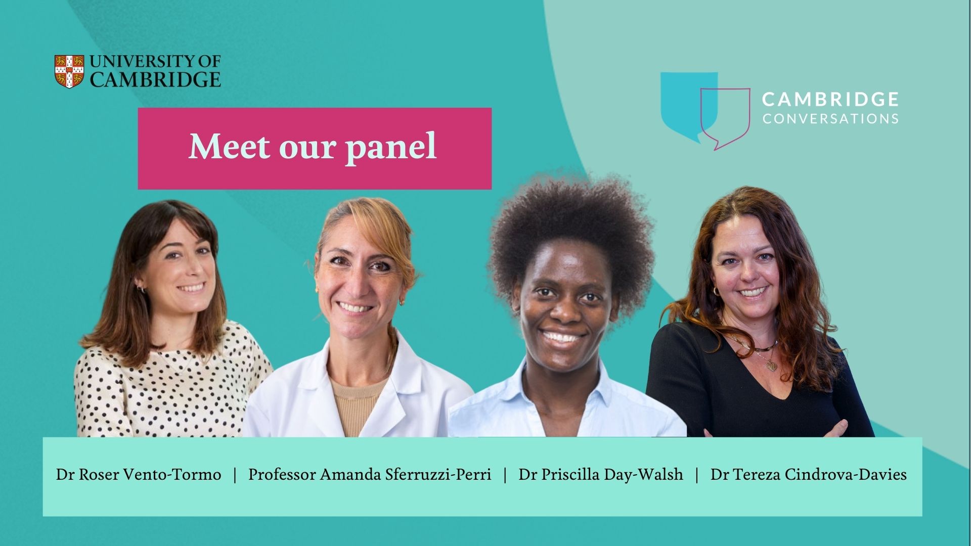 collage image of four academics involved in a webinar on the subject of maternal health