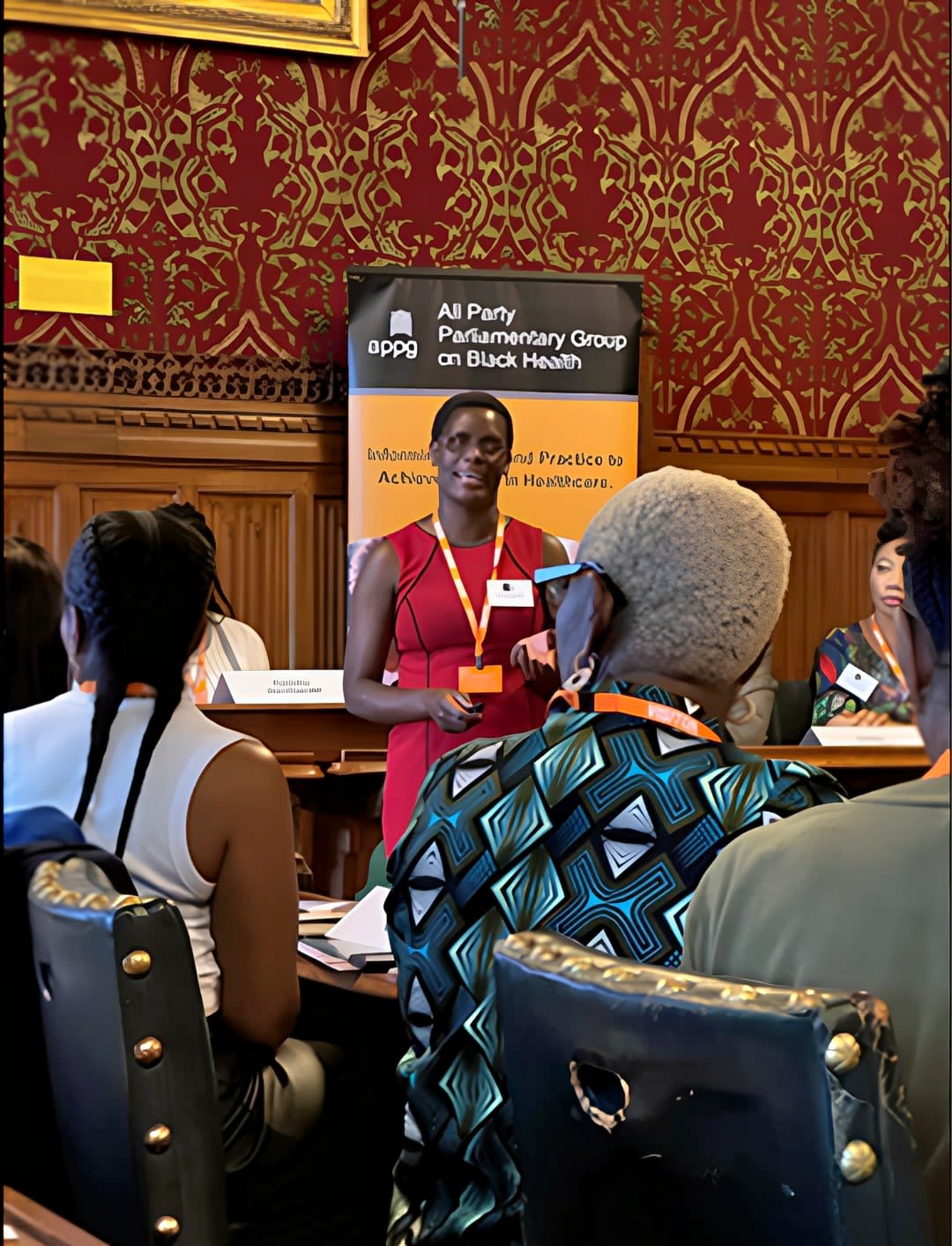 Dr Priscilla Day-Walsh presenting at the All-Party Parliamentary Groups