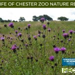 Image of Chester Zoo Nature Reserve
