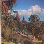 The Annapurna Range