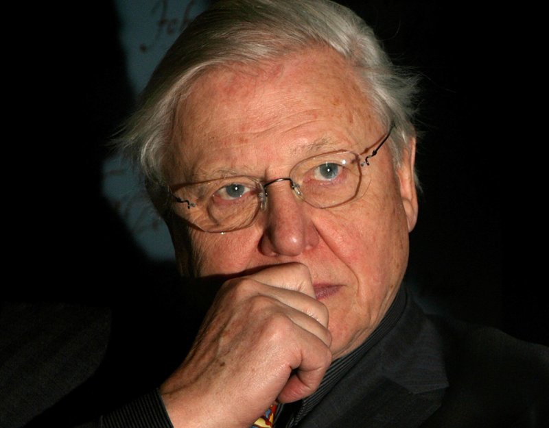 Sir David Attenborough (image by Cate Gillon)