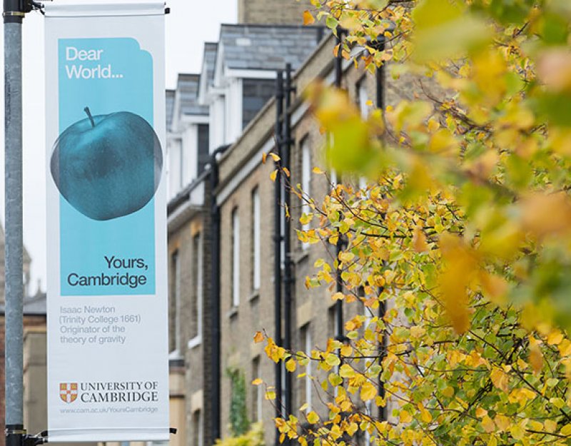 Campaign banner