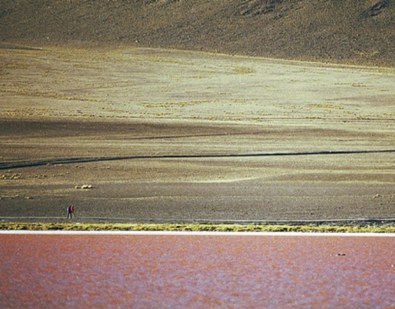 Rory, Bolivia