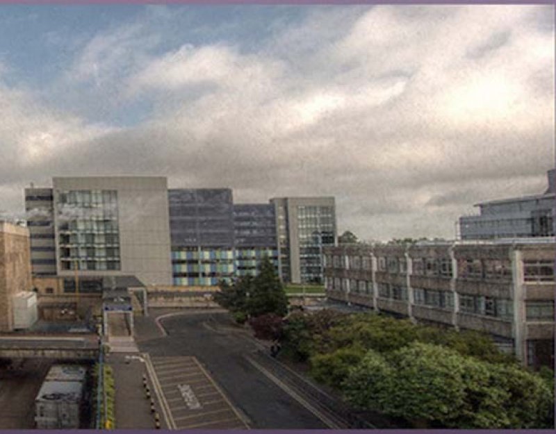 View from Department of Psychiatry window