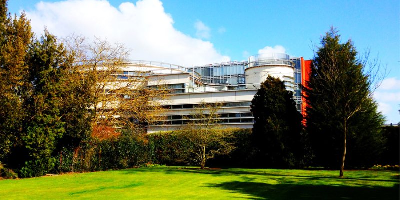 The Divinity Faculty's building