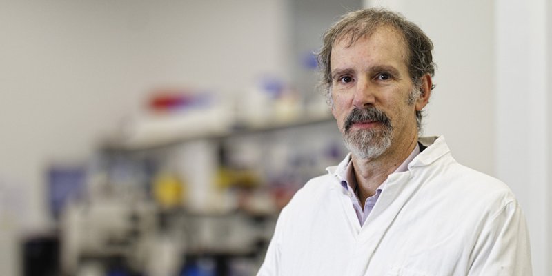 Professor Michele Vendruscolo wearing a white lab coat