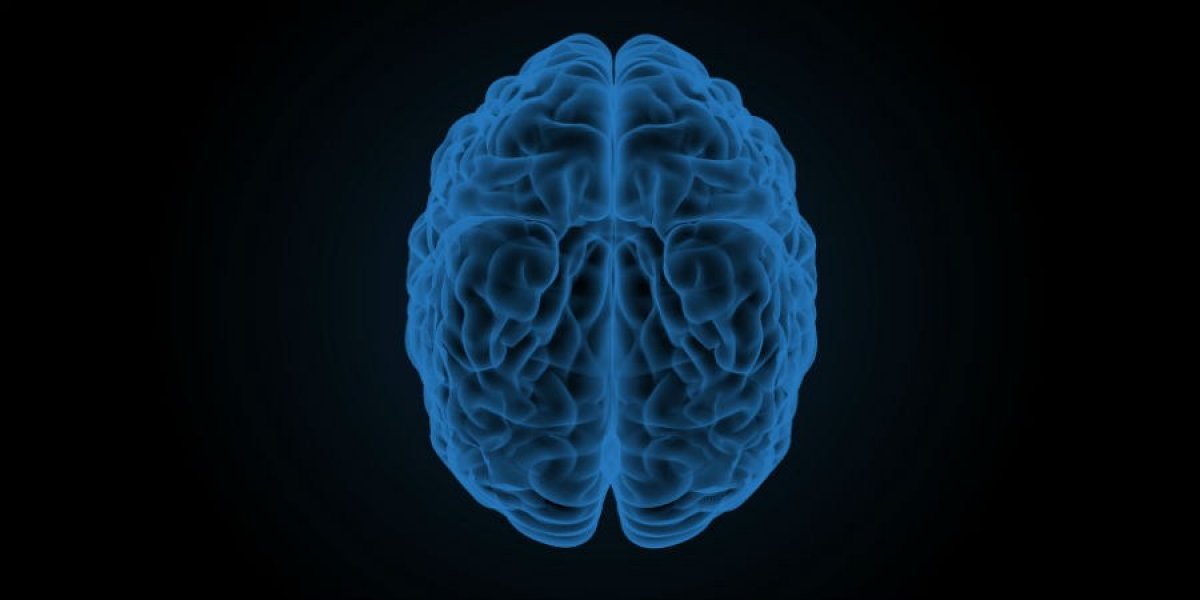 Brain illustration