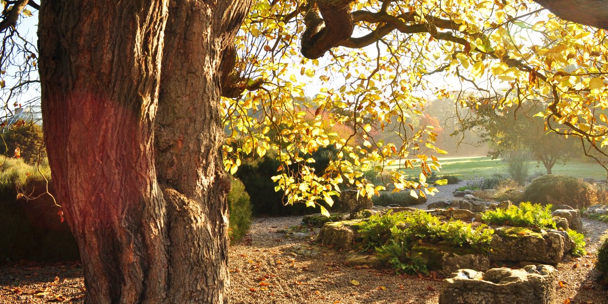 Cambridge University Botanic Garden