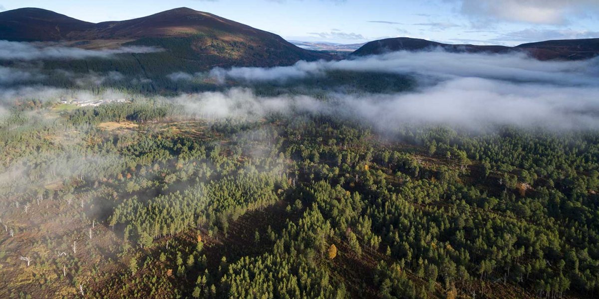 Cairngorms from above with low lying clouds. Photo by James-Shooter