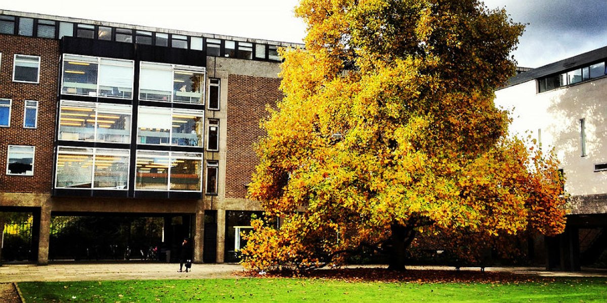 Faculty of Economics building, Sidgwick Site