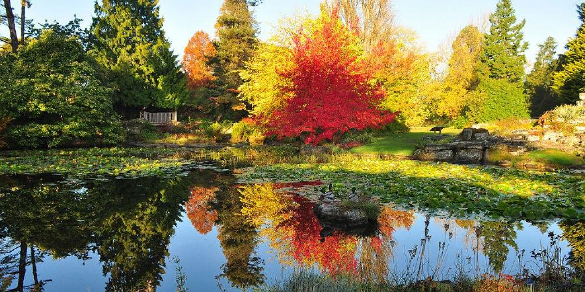 botanic gardens in autumn