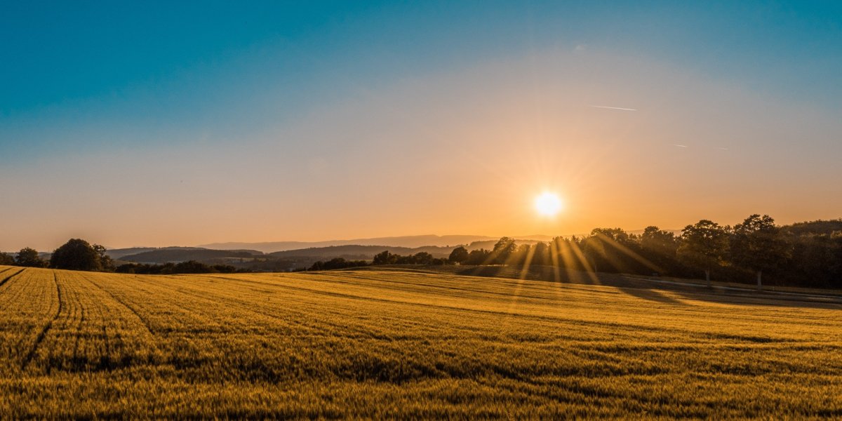 Image of countryside