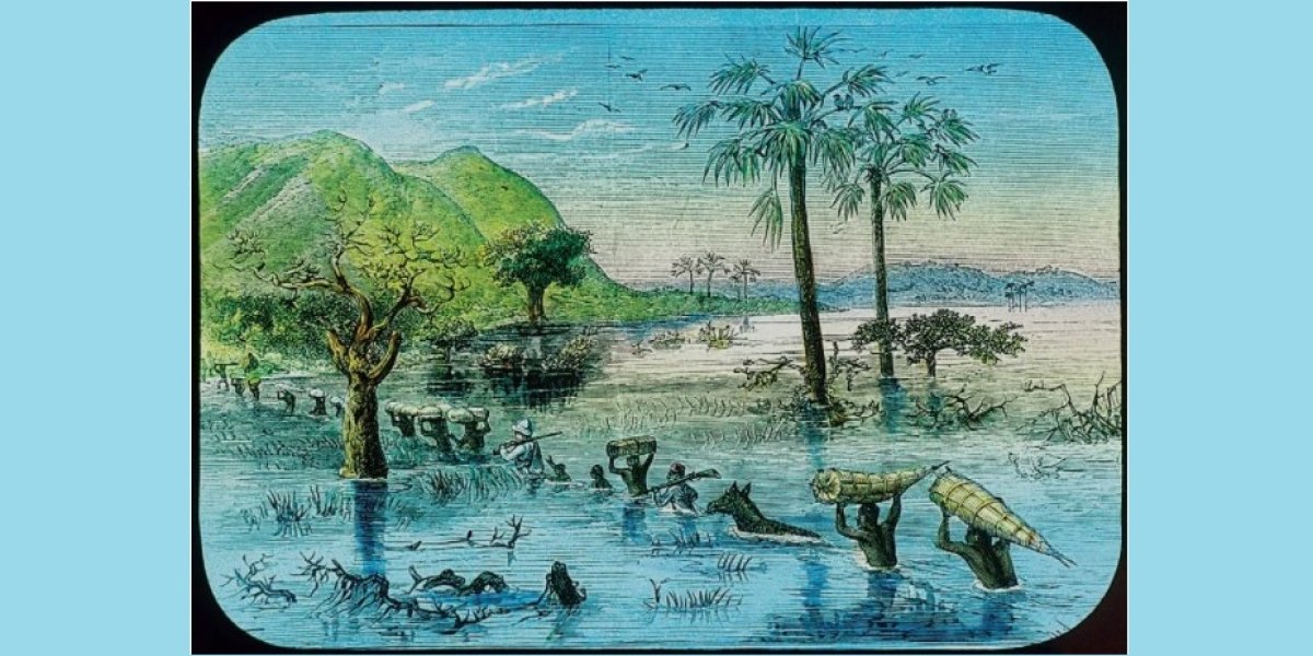 The Makata Swamp crossed by Stanley